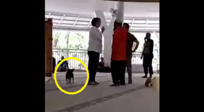 Anjing Berulah Islam Kena Batunya